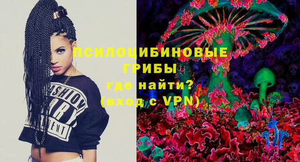 амф Алексин