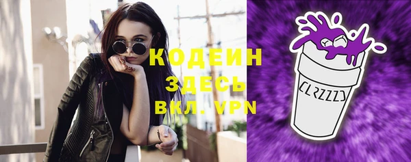 PSILOCYBIN Алзамай