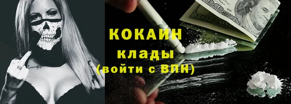 PSILOCYBIN Алзамай