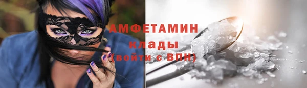 амф Алексин