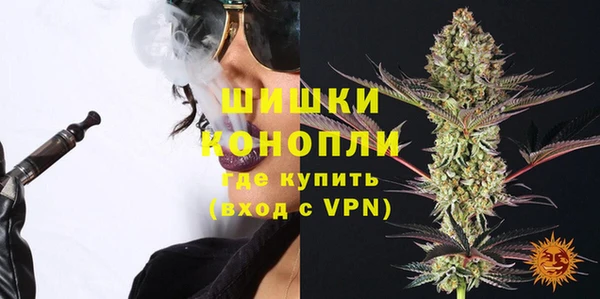PSILOCYBIN Алзамай