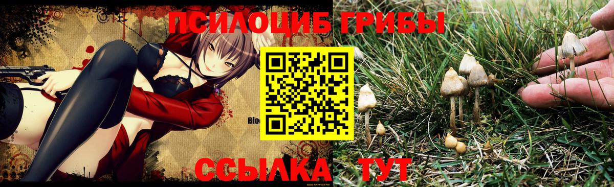 Псилоцибиновые грибы прущие грибы  Псилоцибиновые грибы MAGIC MUSHROOMS  Вход с VPN  Нягань 